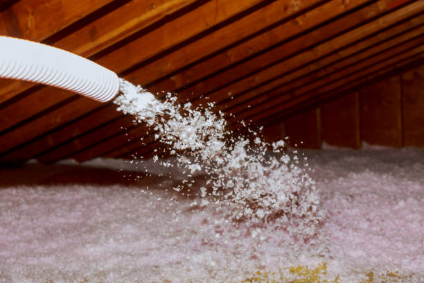 Best Geographic-Specific Insulation Services in East Griffin, GA